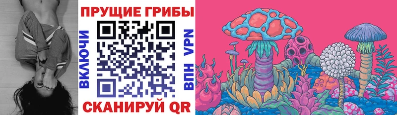 Галлюциногенные грибы мицелий  Приморско-Ахтарск 